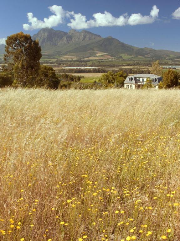 Belair Country House Bed & Breakfast Paarl Eksteriør bilde