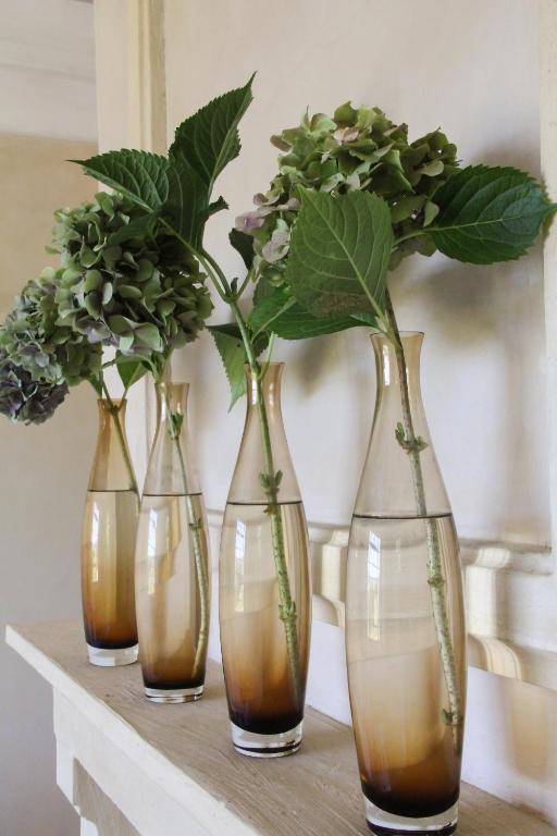 Belair Country House Bed & Breakfast Paarl Rom bilde