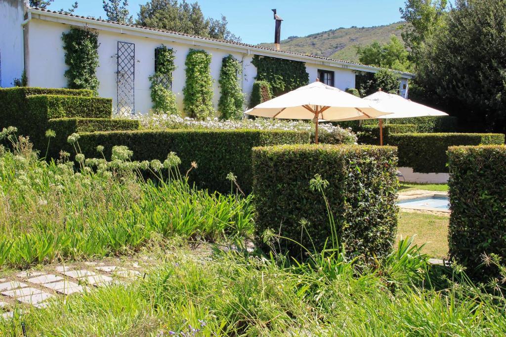 Belair Country House Bed & Breakfast Paarl Eksteriør bilde