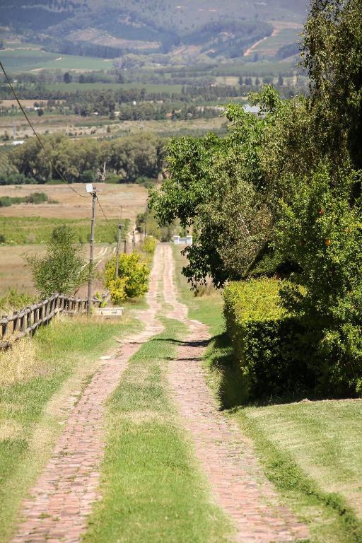 Belair Country House Bed & Breakfast Paarl Eksteriør bilde